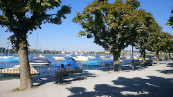 Foto di Seebad Utoquai e il suo bellissimo paesaggio