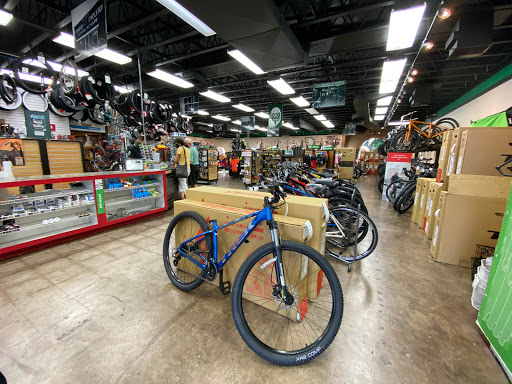 Bicycle Store «Landis Cyclery», reviews and photos, 10417 N Scottsdale Rd, Scottsdale, AZ 85253, USA