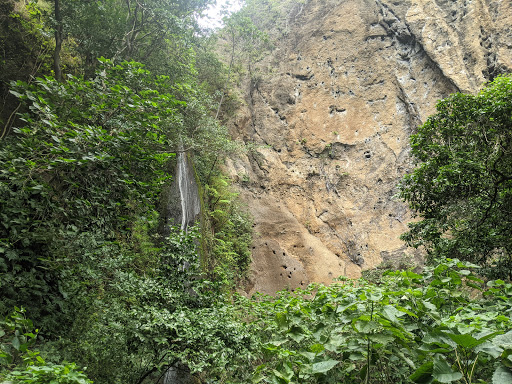 Reserva Natural El Chocoyero y El Brujo