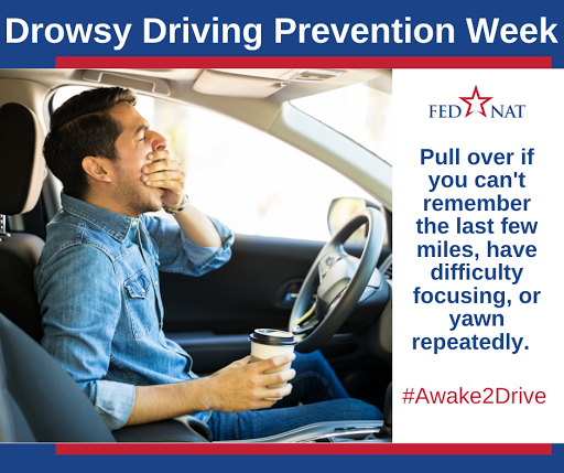 Insurance Agency «FedNat», reviews and photos