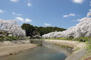 Natsui River Park image
