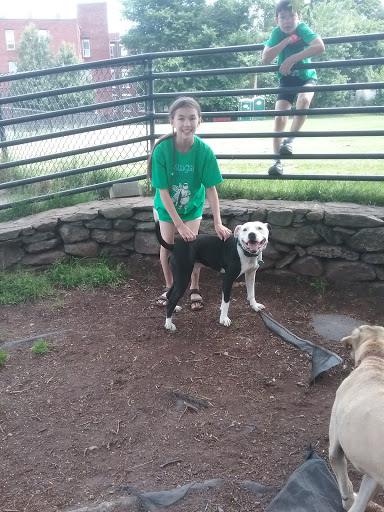 Park «Nunziato Field Dog Park», reviews and photos, Putnam St, Somerville, MA 02143, USA