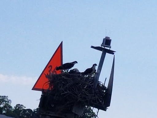 Boat Tour Agency «Spongeorama Cruise lines», reviews and photos, 510 Dodecanese Blvd, Tarpon Springs, FL 34689, USA