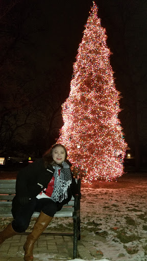 Park «Bartlett Park», reviews and photos, 700 S Bartlett Rd, Bartlett, IL 60103, USA