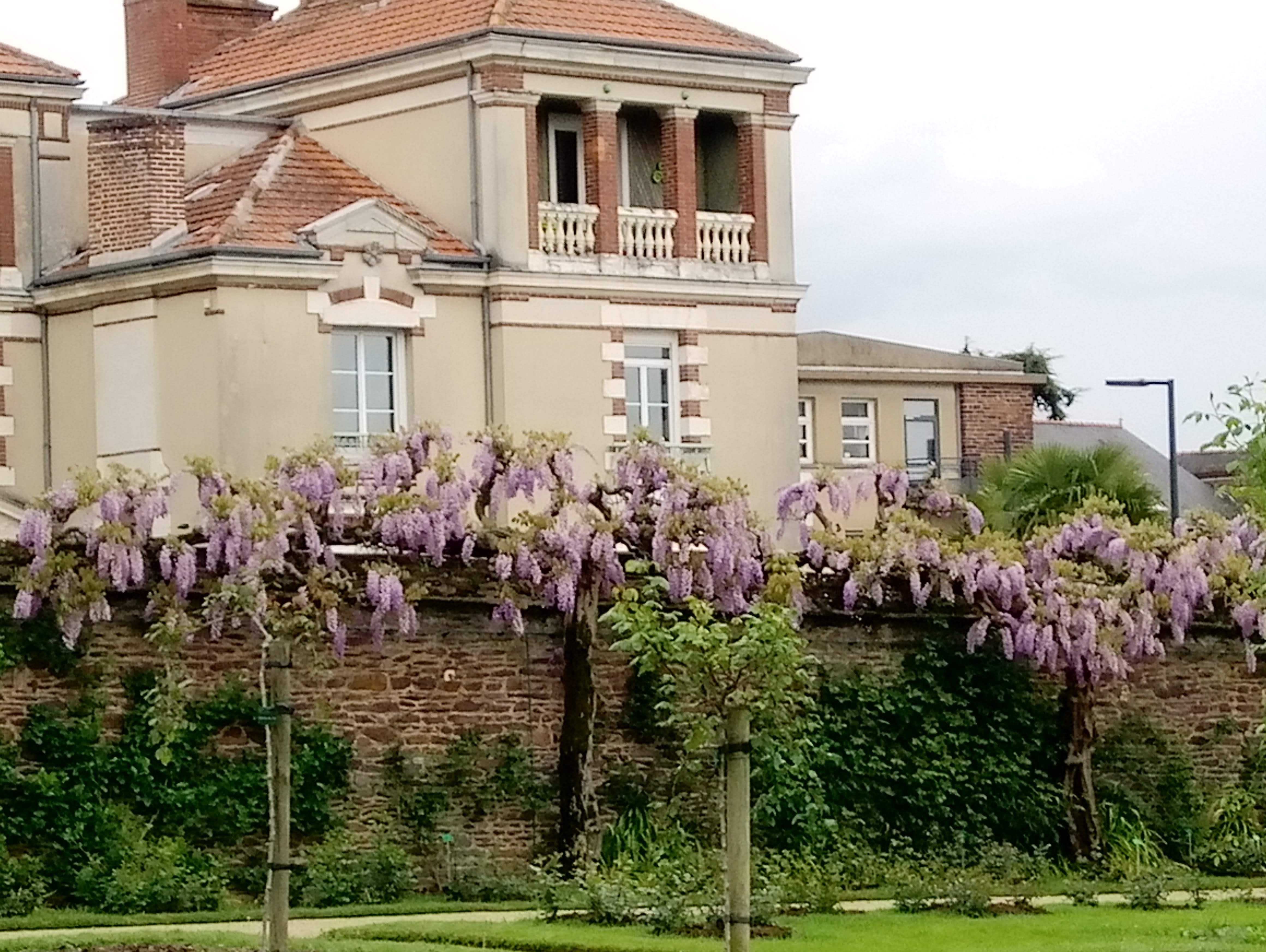 Photo n° 3 de l'avis de Marie.r fait le 10/06/2019 à 12:19