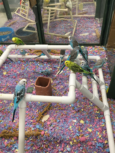 Pet Supply Store «Safari Stans Pet Center», reviews and photos, 142 Amity Rd, New Haven, CT 06515, USA