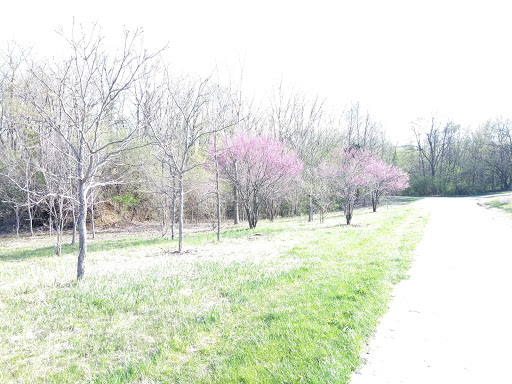 Nature Preserve «Meacham Forest Preserve», reviews and photos, Circle Ave, Bloomingdale, IL 60108, USA