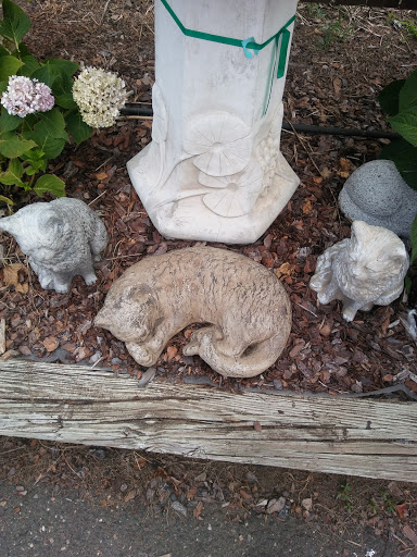 Florist «Butler Florist & Garden Center», reviews and photos, 416 Park Rd, West Hartford, CT 06119, USA