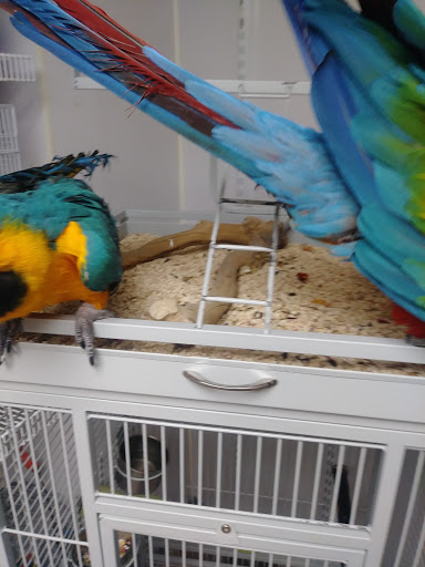 Pet Store «Feed-Rite Pet Supply», reviews and photos, 2979 Fort St, Lincoln Park, MI 48146, USA