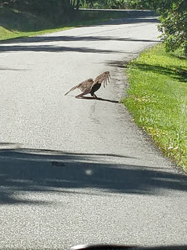 Park «Lord Hill Park», reviews and photos, 12921 150th St SE, Snohomish, WA 98290, USA