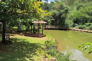 Parque Lage de Minas image