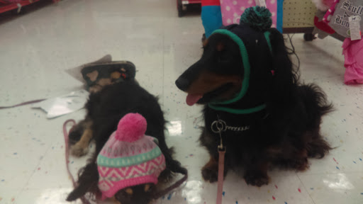 Pet Supply Store «Petco Animal Supplies», reviews and photos, 4950 S 76th St, Greenfield, WI 53220, USA