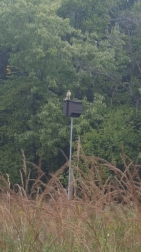 Golf Course «Edgebrook Golf Course», reviews and photos, 6100 N Central Ave, Chicago, IL 60646, USA