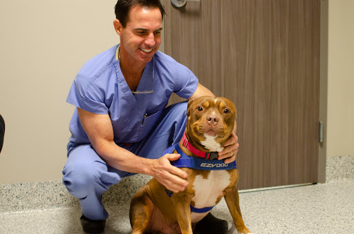 Bark City Veterinary Specialists image