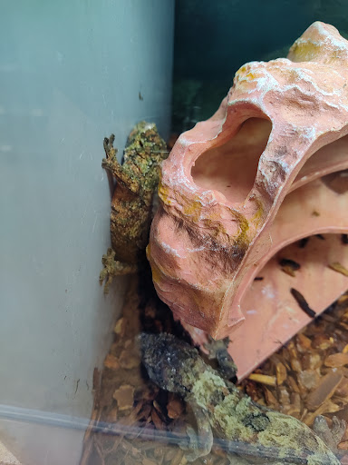 Pet Supply Store «Petco Animal Supplies», reviews and photos, 5006 NY-23 #1b, Oneonta, NY 13820, USA