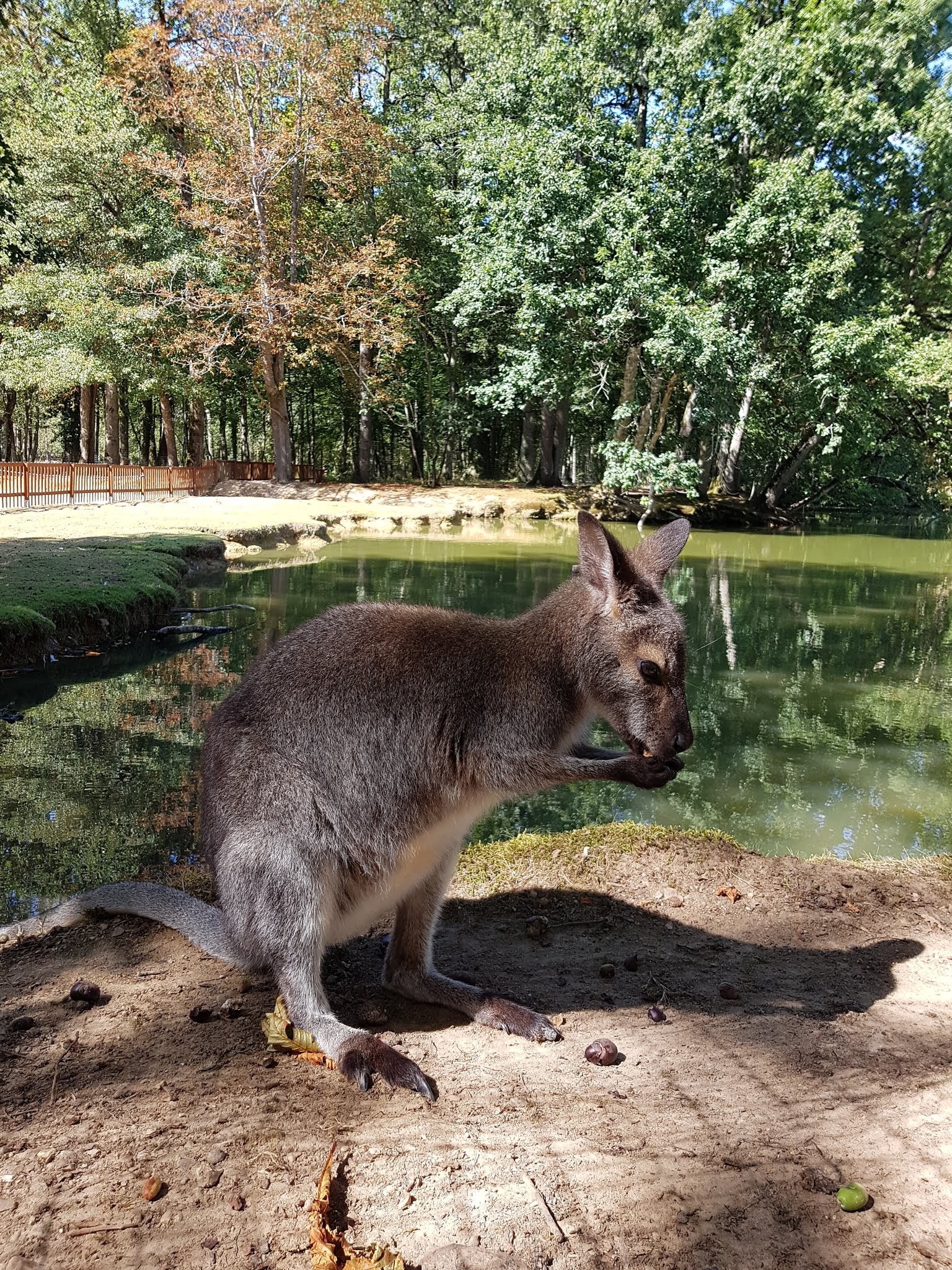Photo n° 5 de l'avis de Octhane.a fait le 17/08/2018 à 19:35