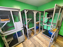 Pawsitive Pets - Photo 6 - Car repair in Eau Claire, WI, Eau Claire