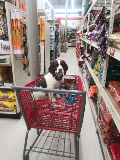 Home Improvement Store «Tractor Supply Co.», reviews and photos, 216 Susquehanna Blvd, West Hazleton, PA 18202, USA