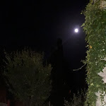 Photo n°1 de l'avis de Stefano.i fait le 19/06/2019 à 10:10 sur le  Ca' Shin à Bologna