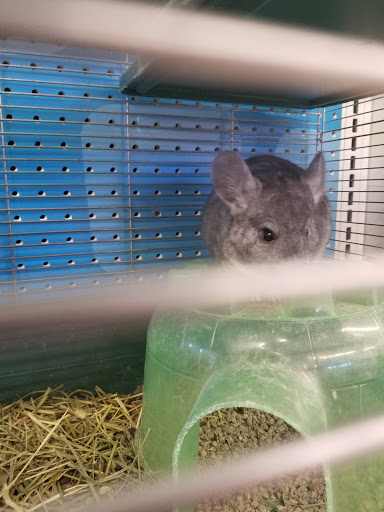 Pet Supply Store «Chow Hound Pet Supplies», reviews and photos, 518 N Beacon Blvd, Grand Haven, MI 49417, USA