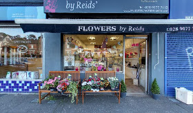 Flowers by Reids