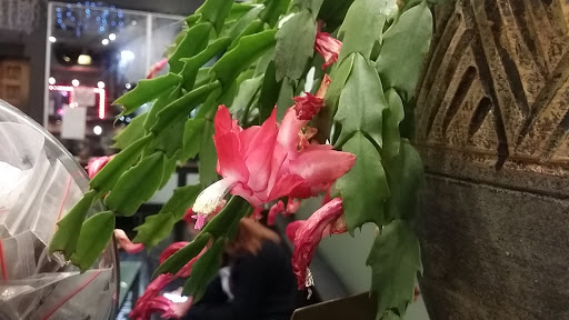 Explore chest and sleeve tattoo ideas, creative tattoo ideas in Atlanta, available at Kolo Piercing and Body Arts