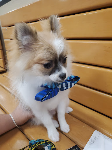 Pet Supply Store «PetSmart», reviews and photos, 10697 E US Hwy 36, Avon, IN 46123, USA