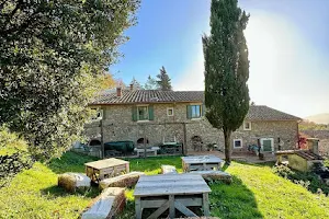 B&B Podere Camaiano image