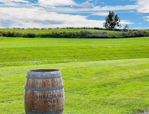 Winery «Sheldrake Point Winery», reviews and photos, 7448 County Rd 153, Ovid, NY 14521, USA