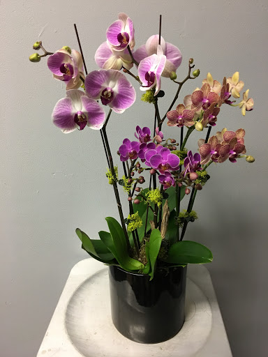 Florist «Polk Street Florist», reviews and photos, 1718-A Polk St, San Francisco, CA 94109, USA