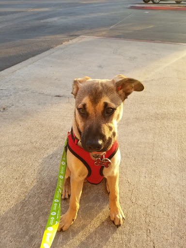 Pet Supply Store «PetSmart», reviews and photos, 2100 McHenry Ave, Modesto, CA 95350, USA