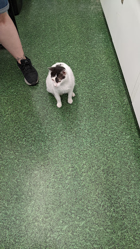 Pet Supply Store «Petco Animal Supplies», reviews and photos, 753 53rd Ave NE, Fridley, MN 55421, USA