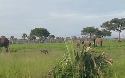 Murchison Falls National Park Safari image