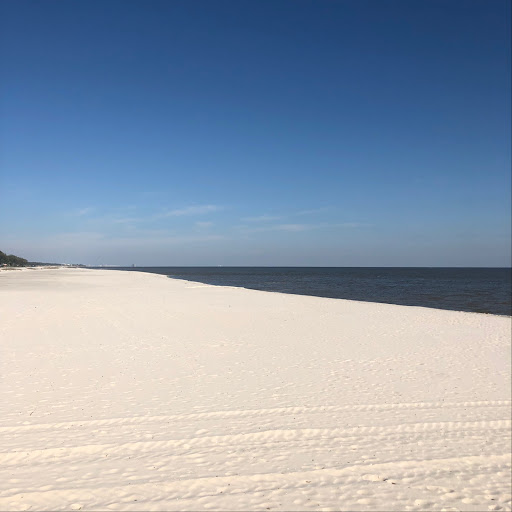 Cafe «Cat Island Coffeehouse», reviews and photos, 300 E Scenic Dr, Pass Christian, MS 39571, USA