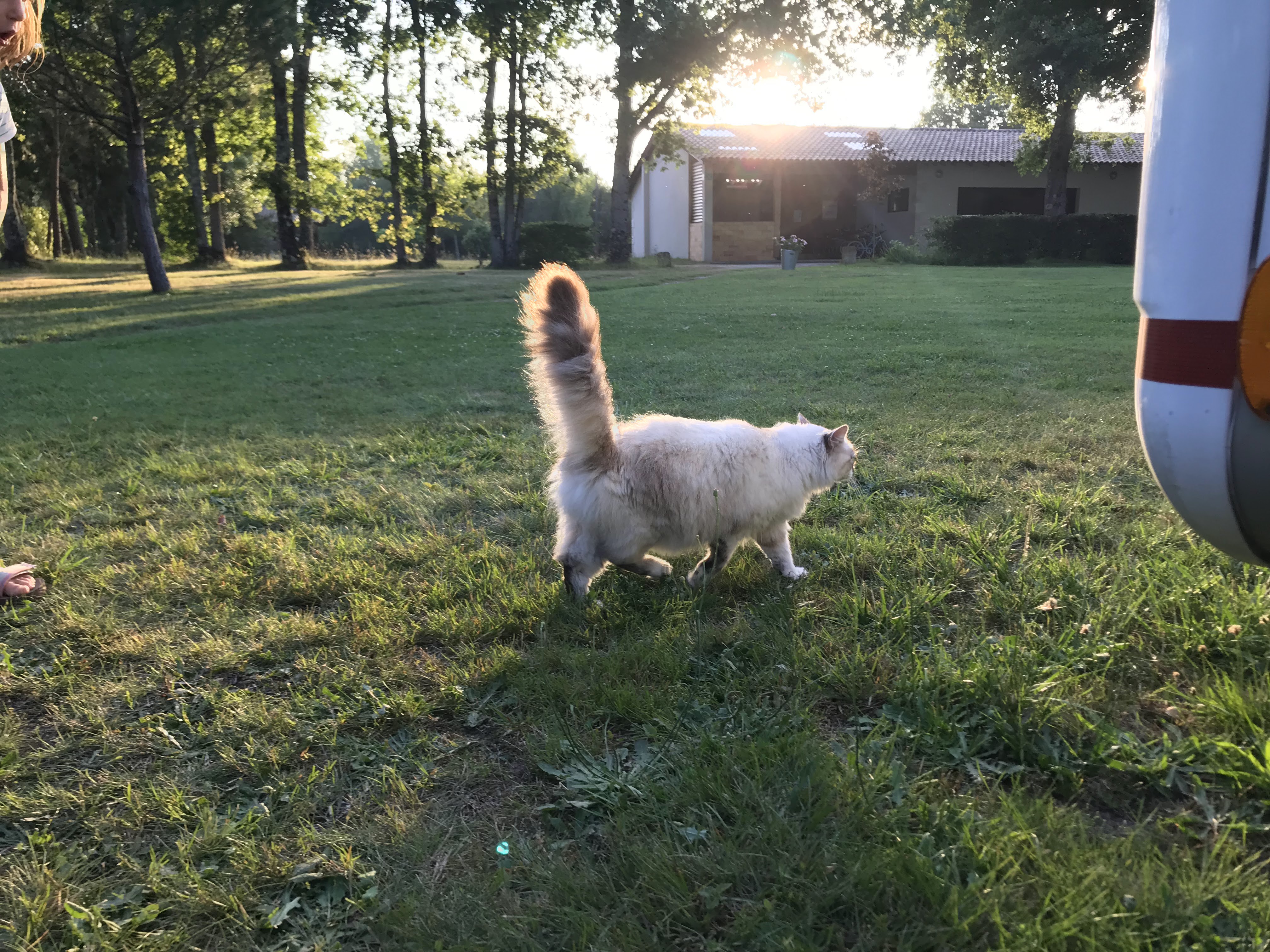Photo n° 2 de l'avis de Tomas.u fait le 11/07/2019 à 08:26