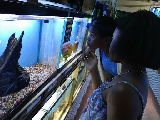 Pet Store «Fins Feathers Paws & Claws», reviews and photos, 436 Main St, Harleysville, PA 19438, USA