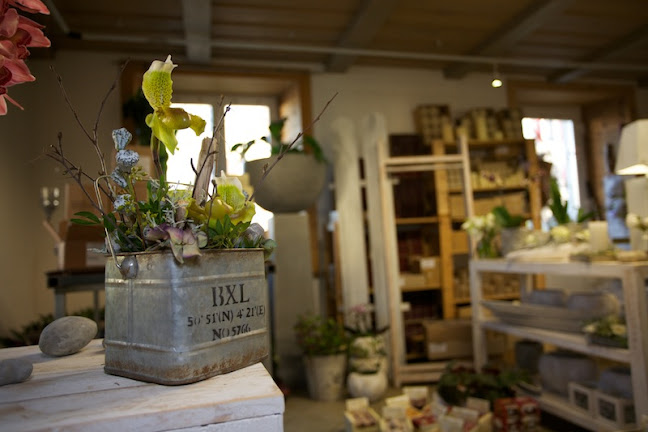 Le Jardin des Fées, atelier floral - Fleurier - Val-de-Travers NE