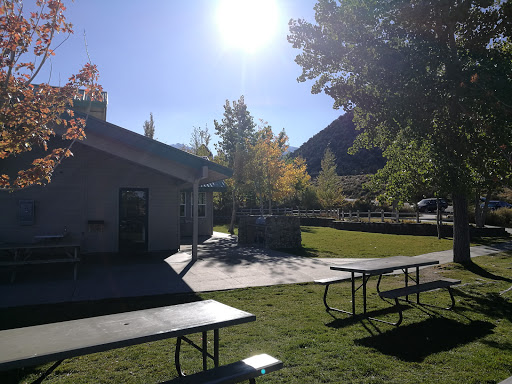 Convenience Store «Tioga Gas Mart», reviews and photos