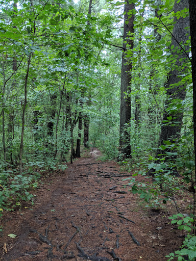 Park «Warren H Manning State Park», reviews and photos, 39 Chelmsford Rd, Billerica, MA 01821, USA