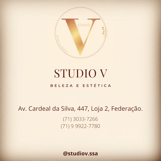 Logo da empresa - Studio V