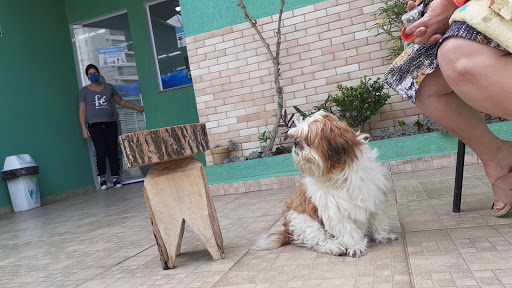 SOS PET VET Clínica Veterinária e Estética Animal em São Paulo - SP
