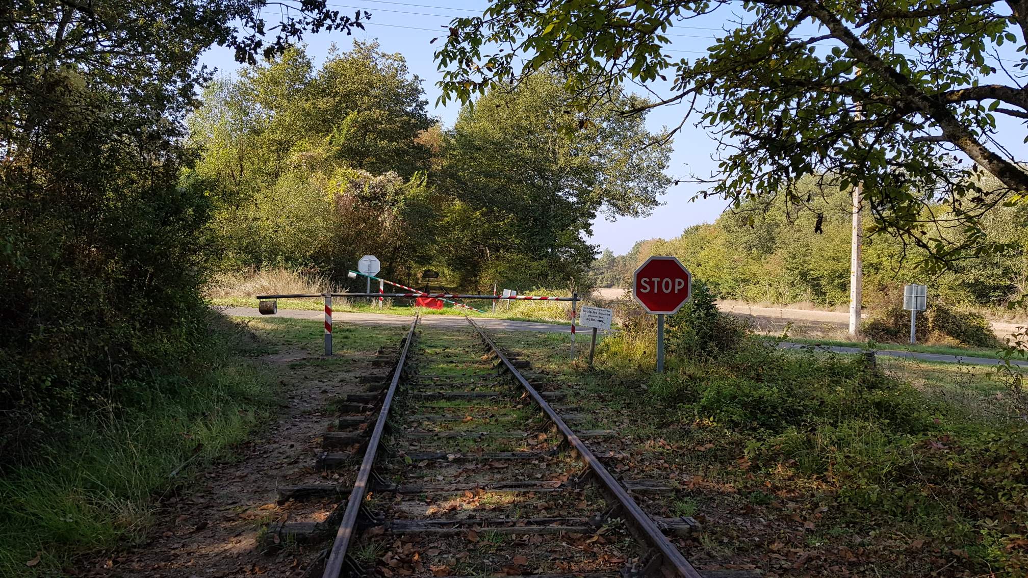 Photo n° 5 de l'avis de Alexandre.W fait le 21/10/2018 à 12:59