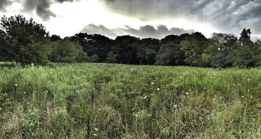 Nature Preserve «Forest Preserves of Cook County», reviews and photos, 9460 S Dee Rd, Park Ridge, IL 60068, USA