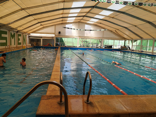 Clases natacion adultos Rosario