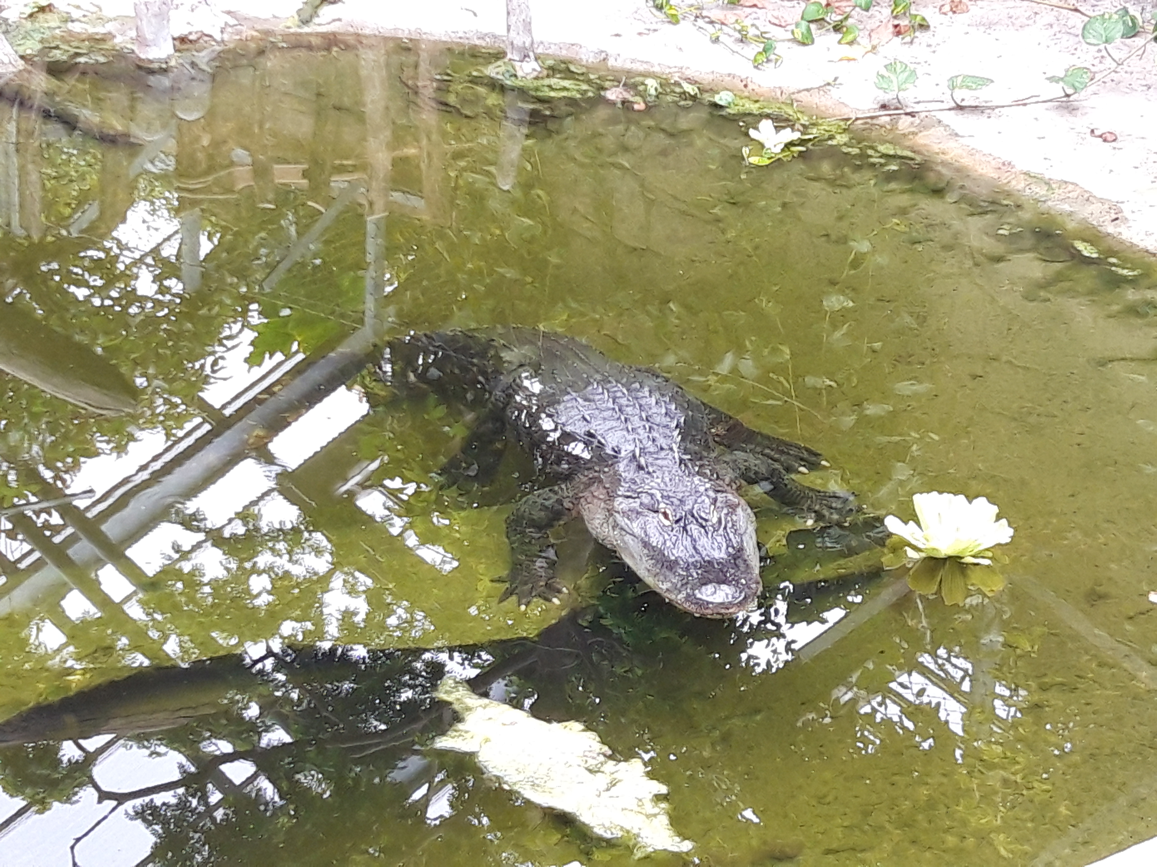 Photo n° 3 de l'avis de Séréna.u fait le 16/08/2021 à 14:30