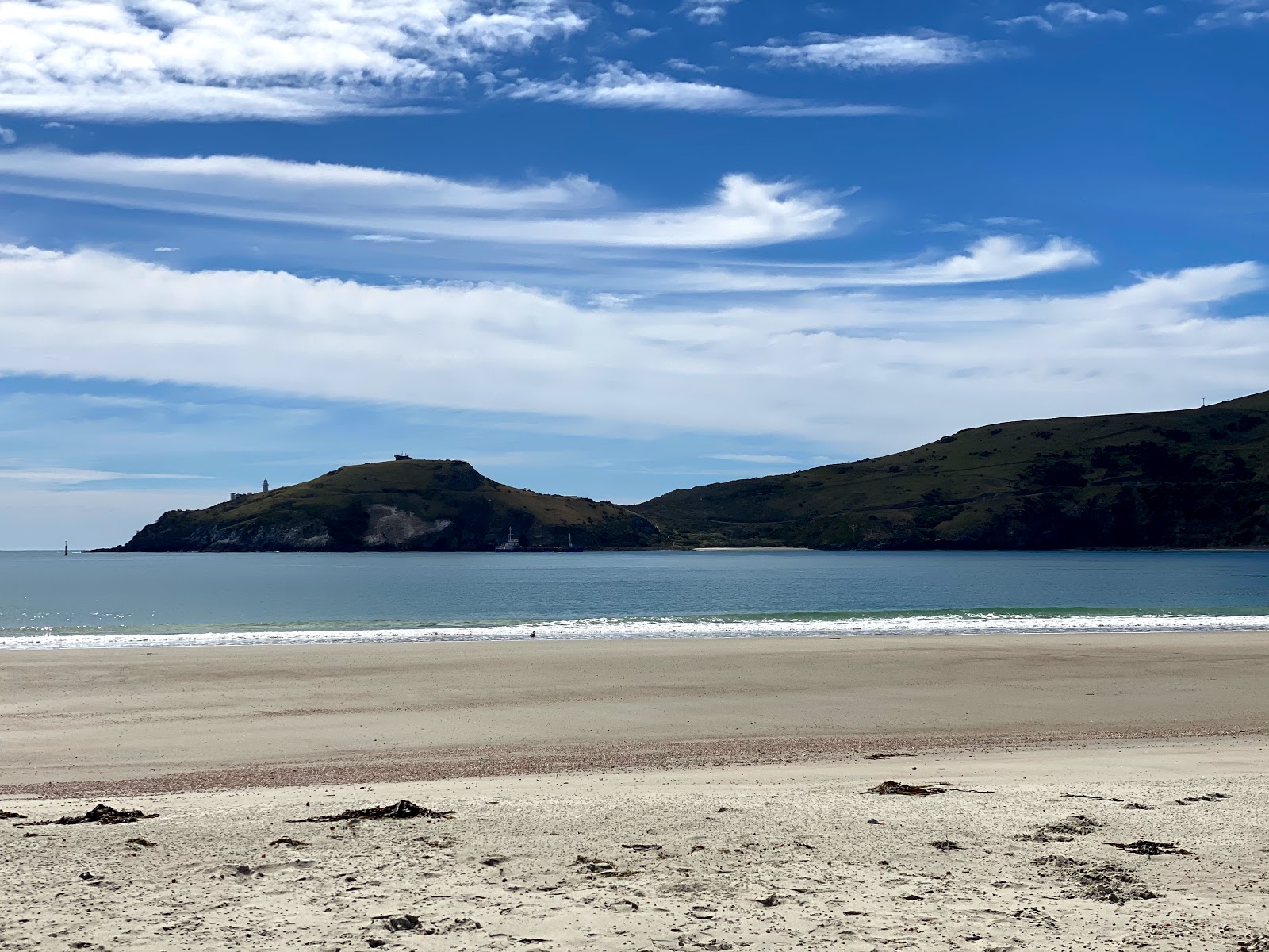 Foto af Aramoana Beach omgivet af bjerge