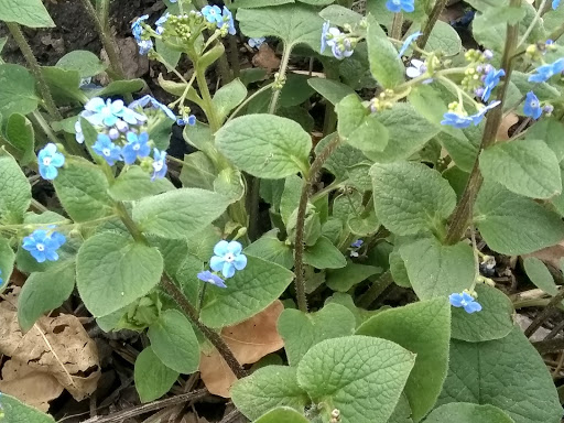 Bicycle Store «Bikes Together», reviews and photos, 2825 Fairfax St, Denver, CO 80207, USA