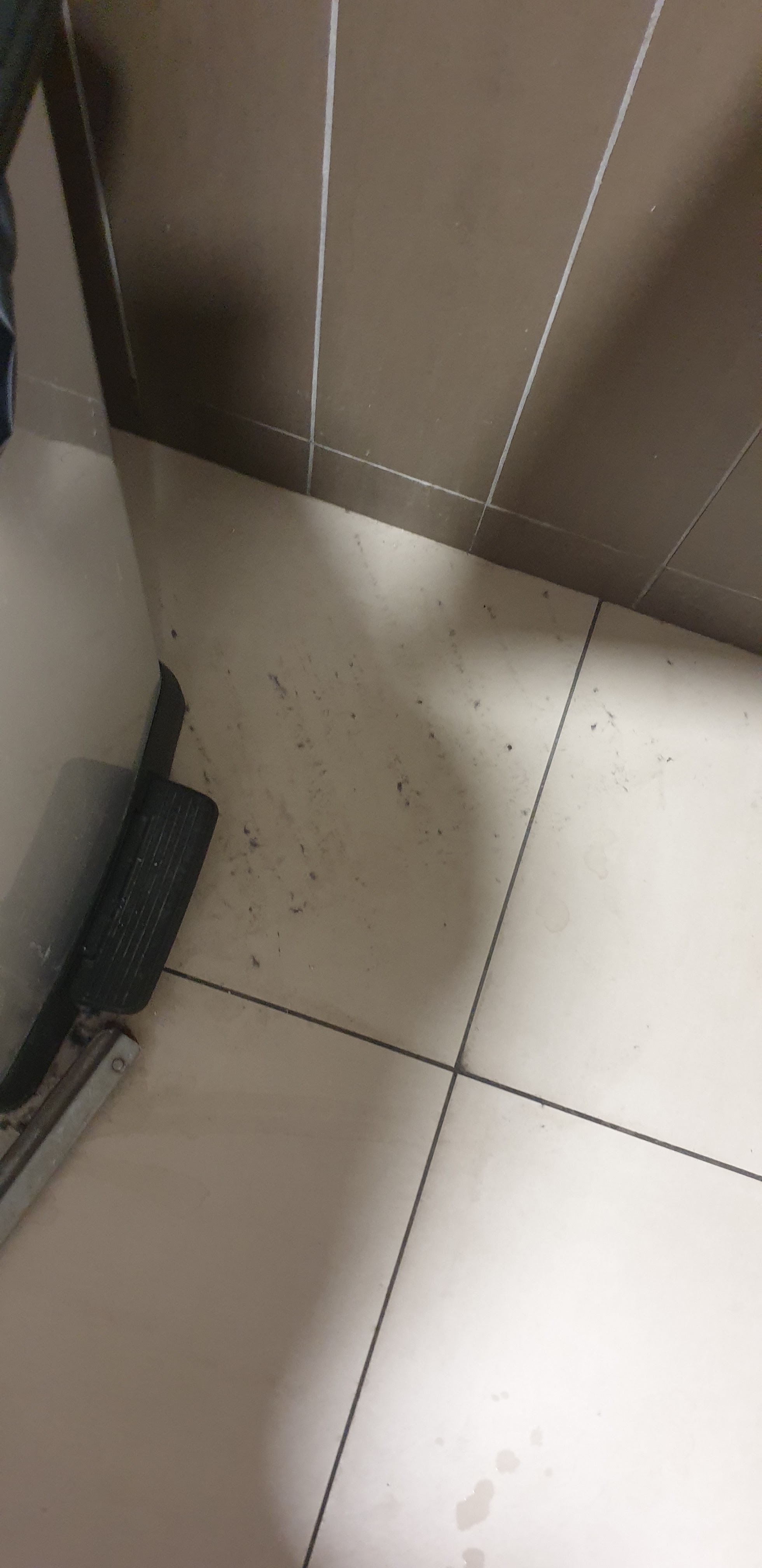Photo n° 1 de l'avis de Corentin.a fait le 11/06/2020 à 05:58