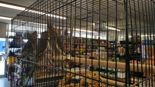 Pet Supply Store «Pets Unlimited», reviews and photos, 1888 Drew St, Clearwater, FL 33765, USA