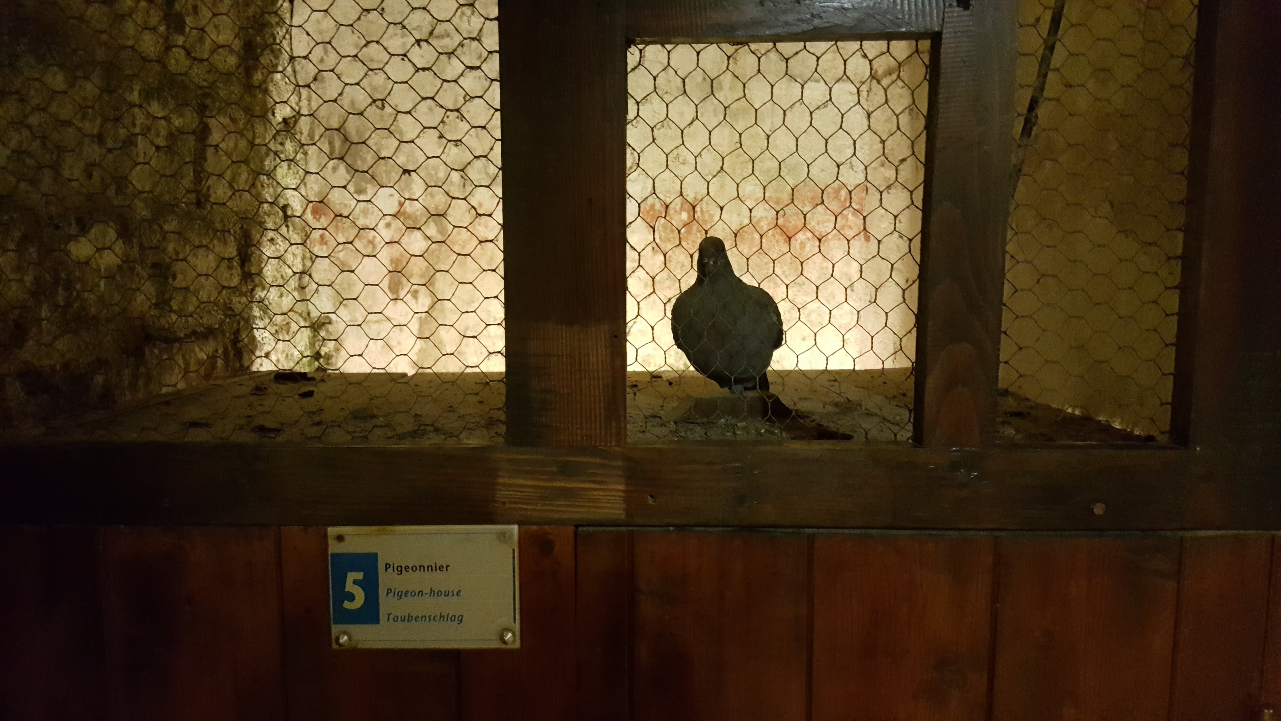 Photo n° 1 de l'avis de Pierrick.O fait le 19/06/2018 à 15:59